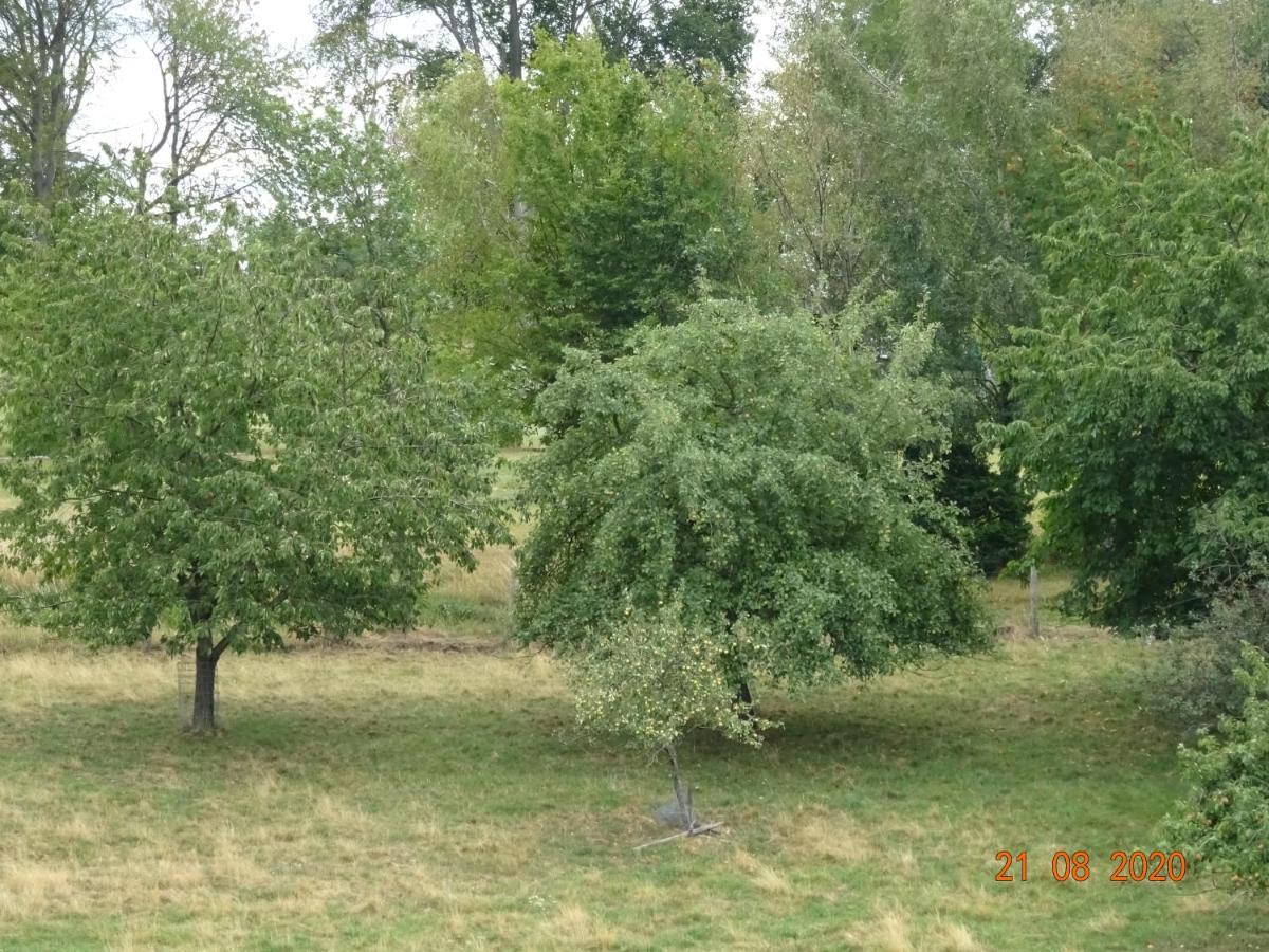 Ferienwohnung Lohrer Nideggen Bagian luar foto